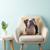 Boston Terrier Dog Kussen (Stoel)