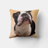 Boston Terrier Dog Kussen (Achterkant)