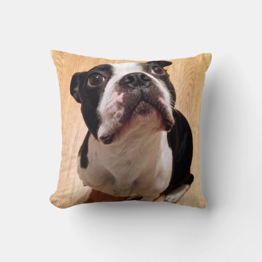 Boston Terrier Dog Kussen (Voorkant)