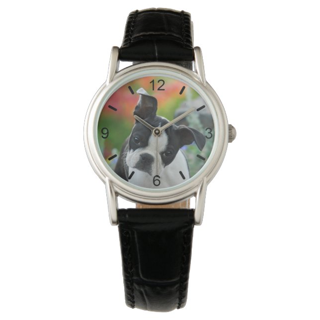 Boston Terrier Dog Leuke Puppy Head — wijzerplaat- Horloge (Voorkant)