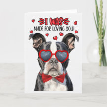 Boston Terrier Dog maakte de liefde voor je Valent