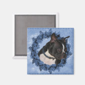 Boston Terrier Dog Magnet (Voorkant / Achterkant)