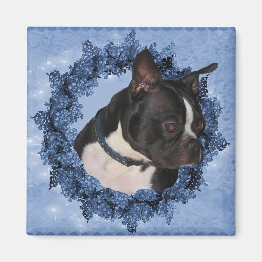 Boston Terrier Dog Magnet (Voorkant)
