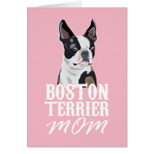 Boston Terrier Dog mama