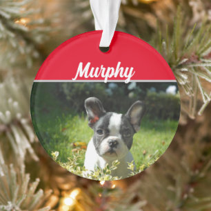 Boston Terrier Dog met naam en foto van Kerstmis Ornament