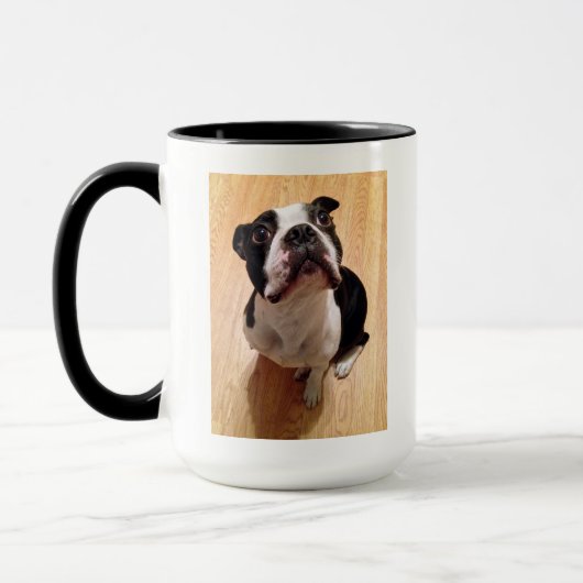 Boston Terrier Dog Mok (Links)