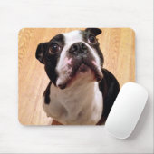 Boston Terrier Dog Muismat (Met muis)