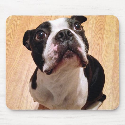 Boston Terrier Dog Muismat (Voorkant)