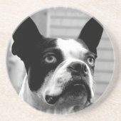 Boston Terrier Dog Onderzetters (Voorkant)