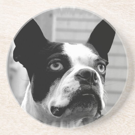 Boston Terrier Dog Onderzetters (Voorkant)
