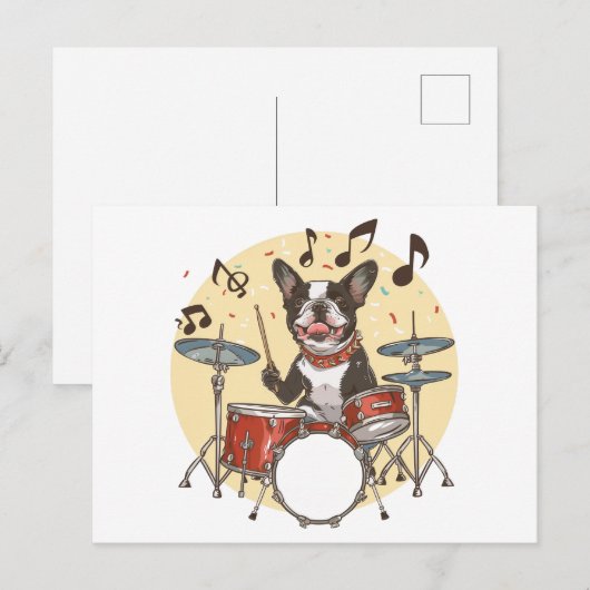 Boston Terrier Dog Playing Drums Briefkaart (Voorkant / Achterkant)