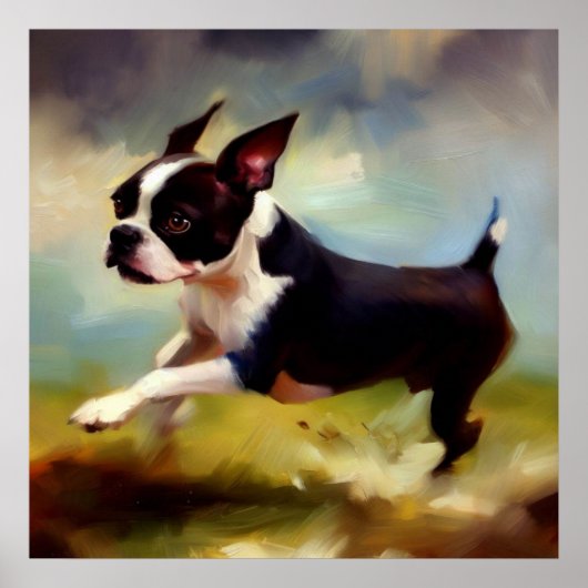 Boston Terrier Dog Poster (Voorkant)