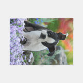 Boston Terrier Dog Puppy comfy Fleece Deken (Voorkant (Horizontaal))