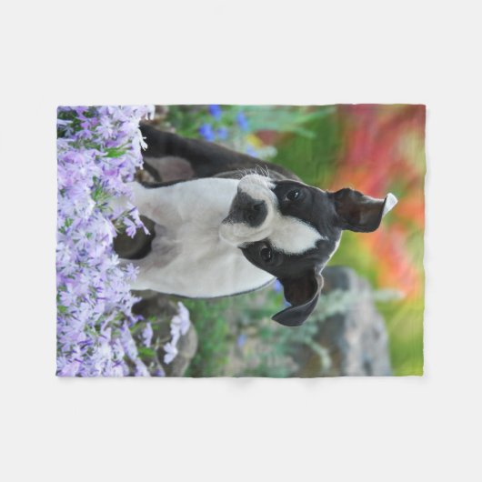 Boston Terrier Dog Puppy comfy Fleece Deken (Voorkant (Horizontaal))
