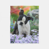 Boston Terrier Dog Puppy comfy Fleece Deken (Voorkant)