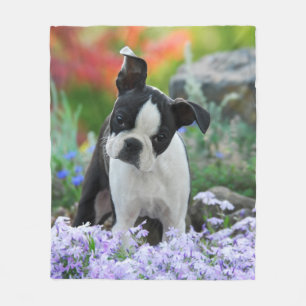Boston Terrier Dog Puppy cozy Fleece Deken