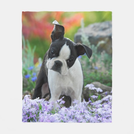 Boston Terrier Dog Puppy cozy Fleece Deken (Voorkant)