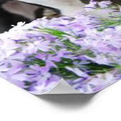 Boston Terrier Dog Puppy, een Cute Pet Foto Poster (Hoek)