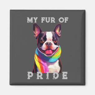 Boston Terrier Dog Rainbow Grappig Mijn Bont Pride Magneet