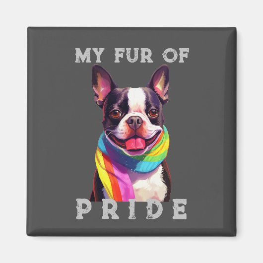 Boston Terrier Dog Rainbow Grappig Mijn Bont Pride Magneet (Voorkant)