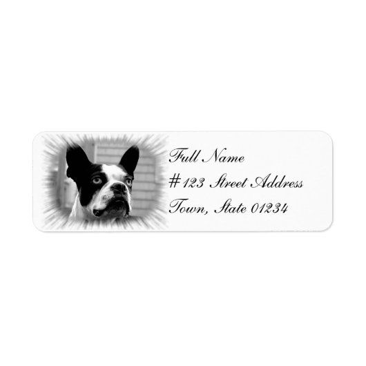 Boston Terrier Dog Return-adreslabel Etiket (Voorkant)