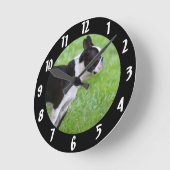 Boston Terrier dog Ronde Klok (Hoek)