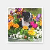 Boston Terrier dog Servet (Voorkant)