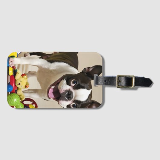 Boston Terrier Dog Spelen met Speelgoed Bagagelabel (Voorkant (horizontaal))