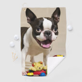 Boston Terrier Dog Spelen met Speelgoed Golfhanddoek (Insitu)