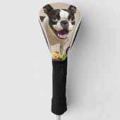 Boston Terrier Dog Spelen met Speelgoed Golfheadcover (Voorkant)