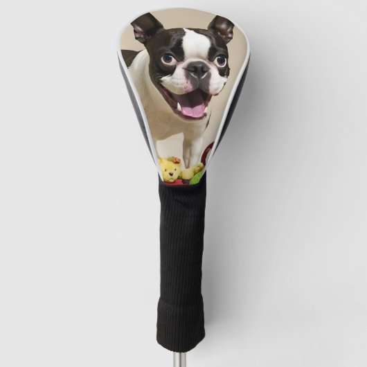 Boston Terrier Dog Spelen met Speelgoed Golfheadcover (Voorkant)