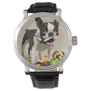Boston Terrier Dog Spelen met Speelgoed Horloge