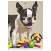 Boston Terrier Dog Spelen met Speelgoed Klembord (Achterkant)