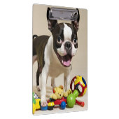 Boston Terrier Dog Spelen met Speelgoed Klembord (Rechts)