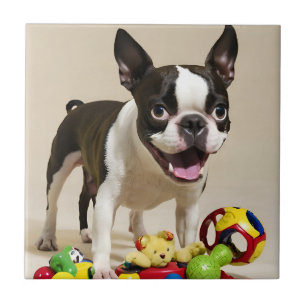 Boston Terrier Dog Spelen met Speelgoed Tegeltje