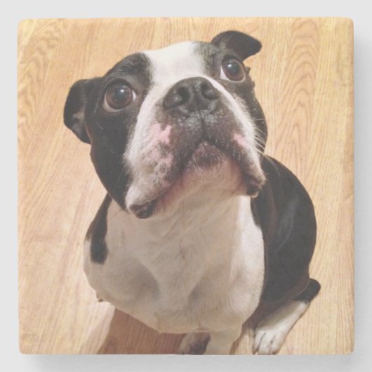 Boston Terrier Dog Stenen Onderzetter (Voorkant)