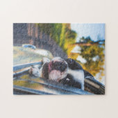 Boston Terrier Dog Sticking Head out Car Window Legpuzzel (Horizontaal)