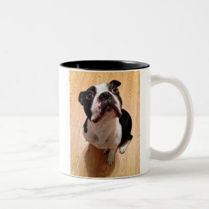 Boston Terrier Dog Tweekleurige Koffiemok