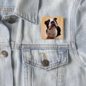 Boston Terrier Dog Vierkante Button 5,1 Cm (In situ)