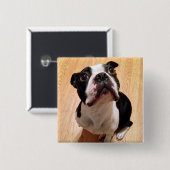 Boston Terrier Dog Vierkante Button 5,1 Cm (Voorkant /achterkant)