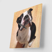 Boston Terrier Dog Vierkante Klok (Hoek)