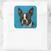 Boston Terrier dog Vierkante Sticker (Tas)