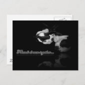 Boston Terrier Dreams - Briefkaart (Voorkant / Achterkant)