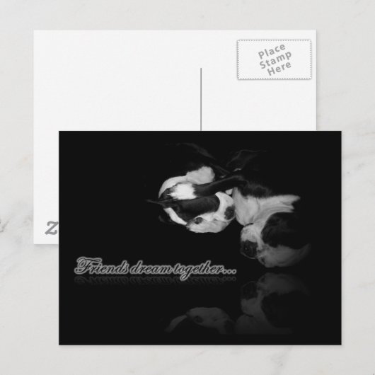 Boston Terrier Dreams - Briefkaart (Voorkant / Achterkant)