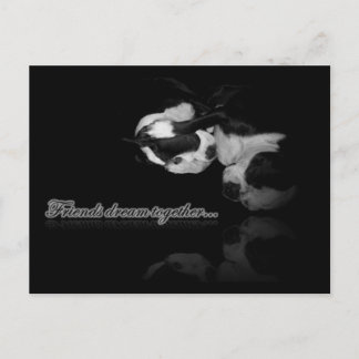 Boston Terrier Dreams - Briefkaart
