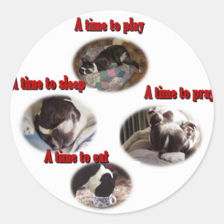 Boston Terrier: een tijd Ronde Sticker