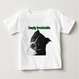 Boston Terrier:  Eenvoudig onbestendig