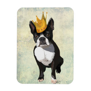 Boston Terrier en Crown Magneet