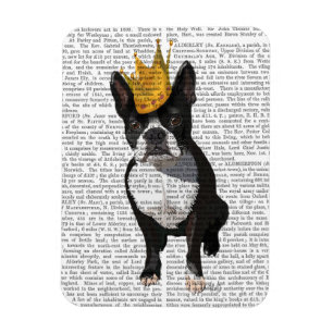 Boston Terrier en Crown Magneet
