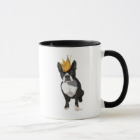 Boston Terrier en Crown